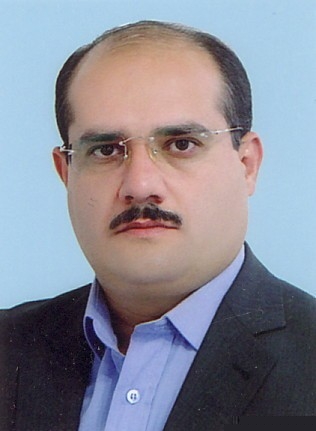 Saeid Malekzadeh Shafaroudi