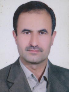 Seyed Hossein Sanaei Nejad