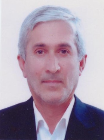 Mohammad B Habibi Najafi