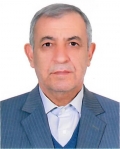 Dr. Reza Valizadeh