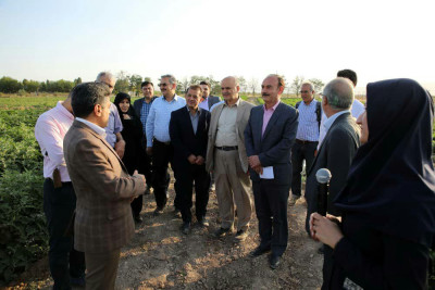 بازدید اعضای شورای شهر مشهد از مزرعه ارگانیک دانشگاه فردوسی مشهد