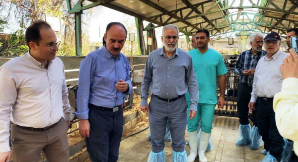 بازدید هیئت رئیسه دانشگاه از مزرعه تحقیقاتی دانشکده کشاورزی