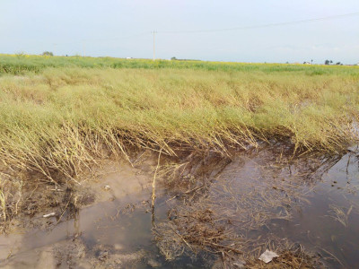 photo 2019-04-15 10-03-57