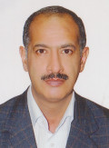 Dr. Mahmoud Shoor