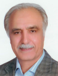 Dr Mahmoud Daneshvar Kakhki