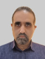 مجتبی پردل