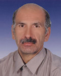 الهامی