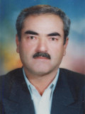 غلامحسین حبیبی محمود آبادی