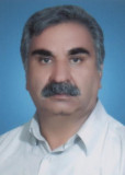 سلطانی