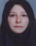 سگارودی