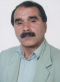 ضیائی منظری