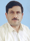 قطنی