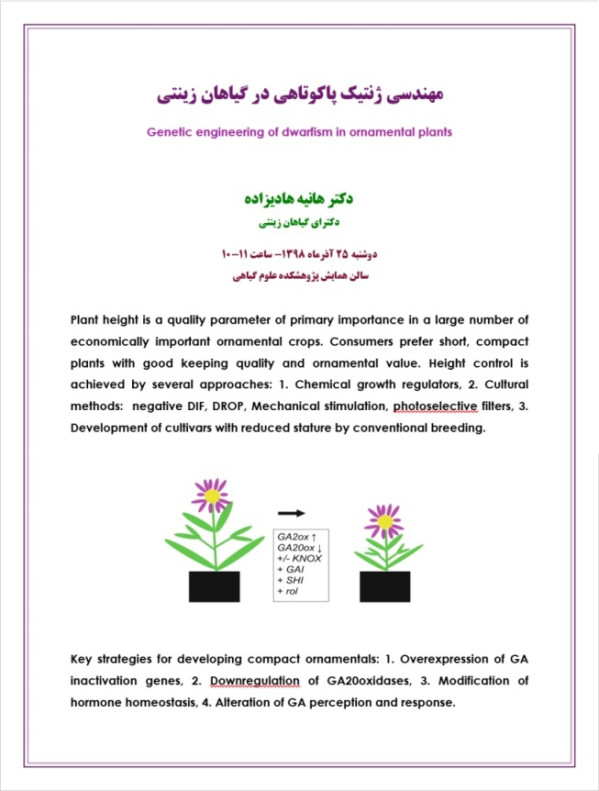 هانیه هادیزاده
