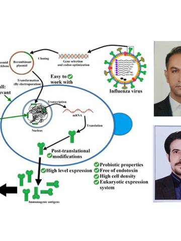 ساخت نخستین واکسن نوترکیب آنفلوانزای H9N2 در ایران توسط پژوهشگران دانشگاه تهران و دانشگاه فردوسی مشهد